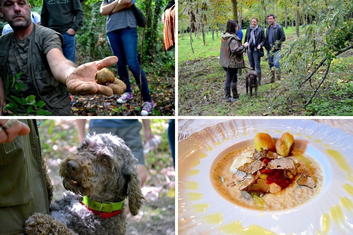 truffle hunting tour from Florence