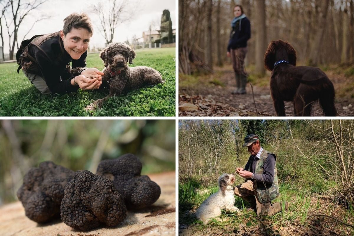 truffle hunting tour in Tuscany