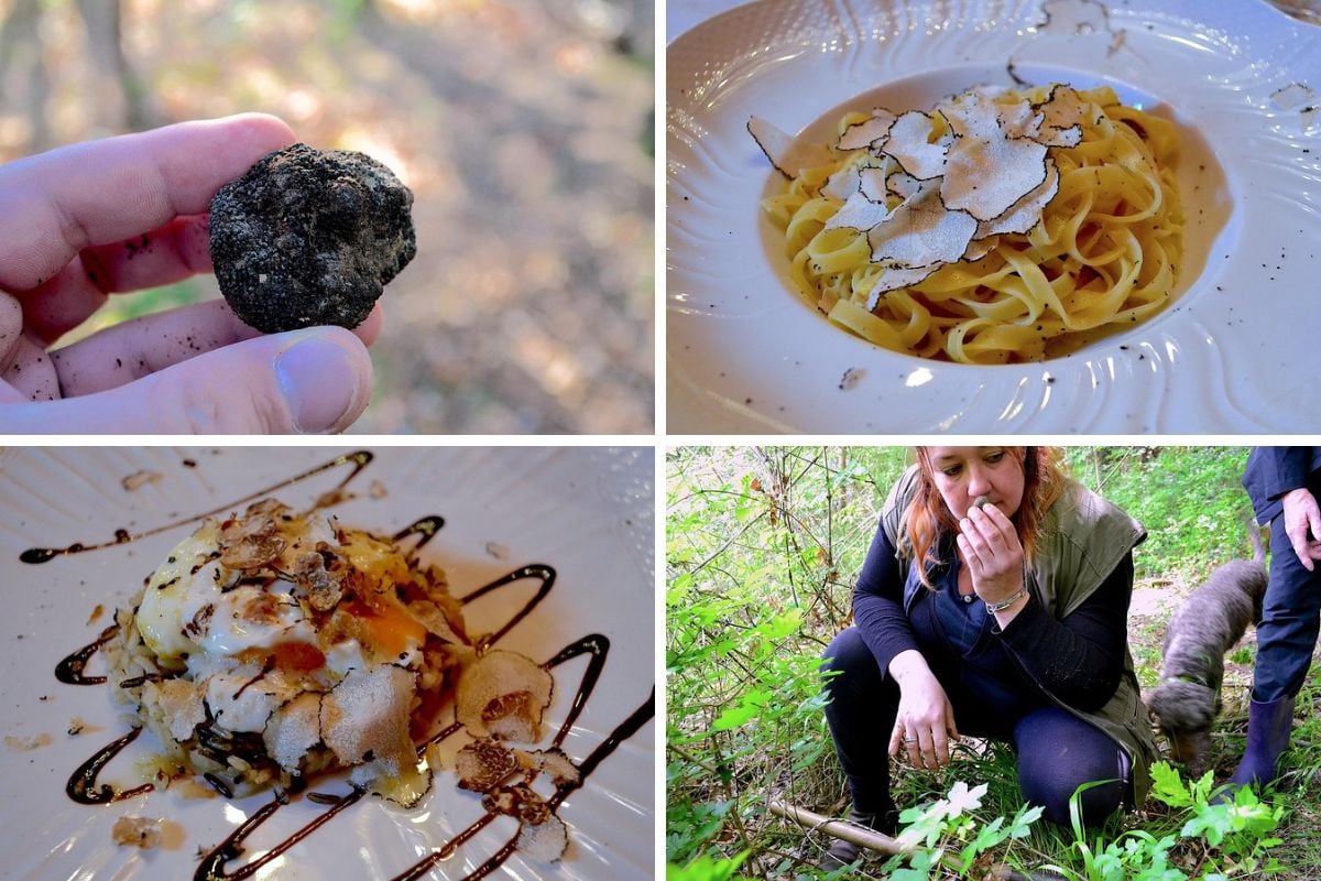 truffle hunting tour with lunch from Florence