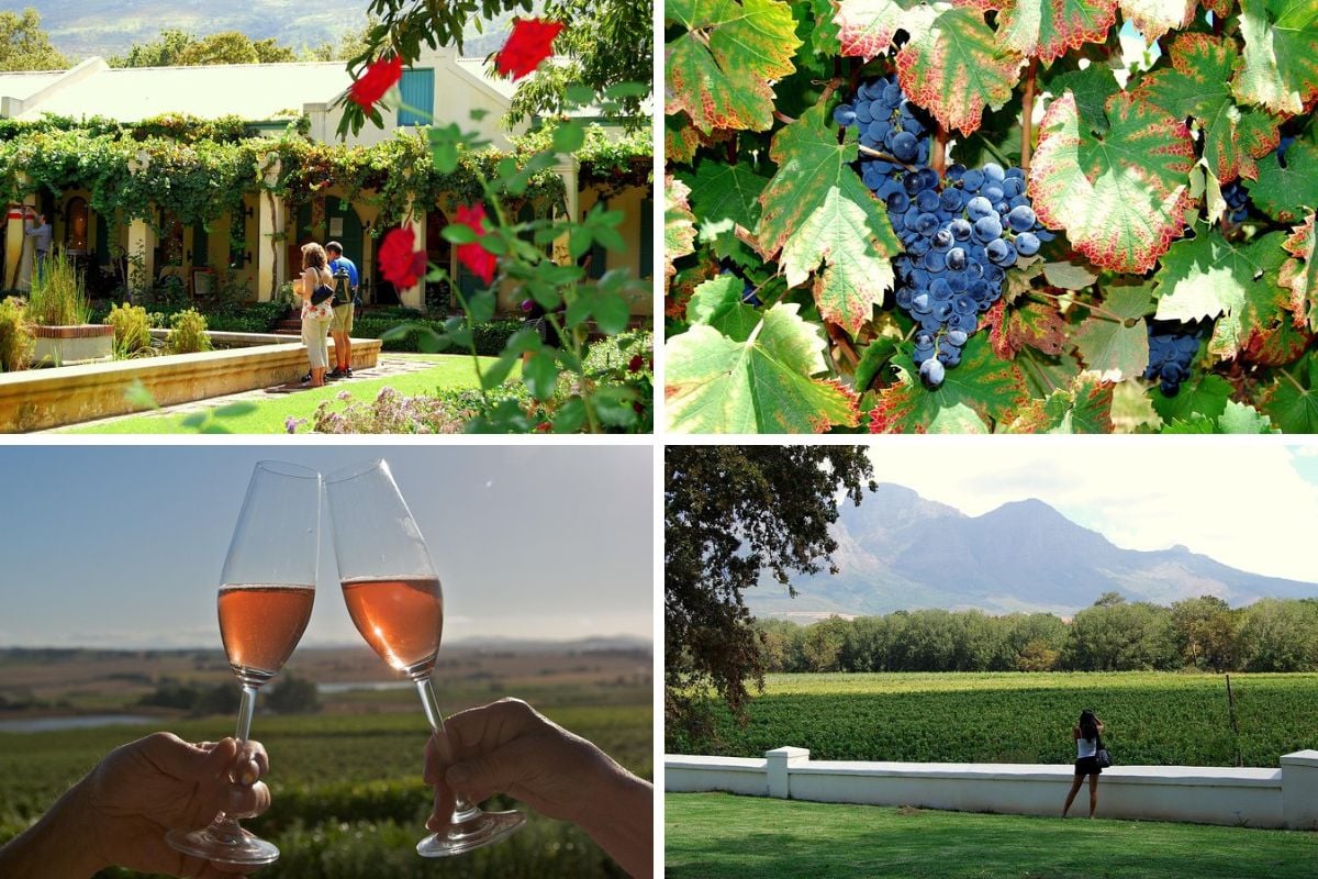 African Story Wine Tours in the Cape Winelands