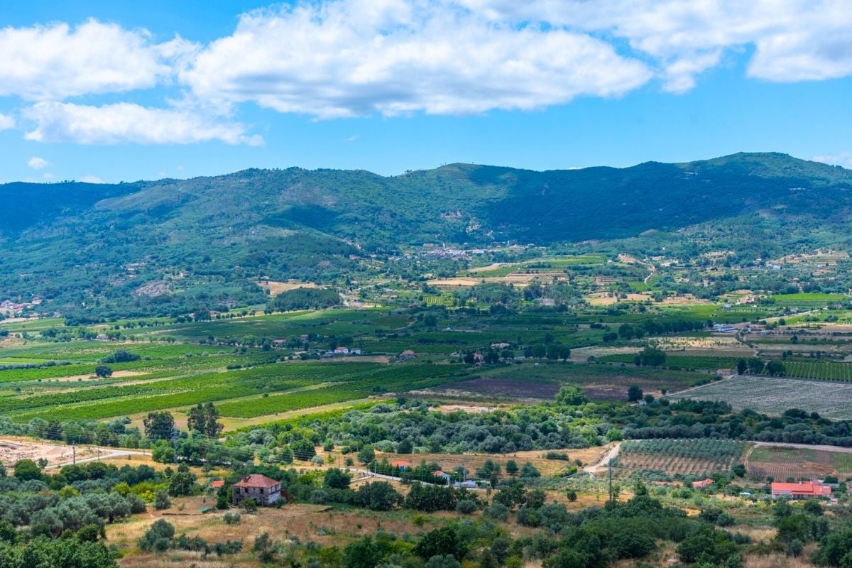 Beira Interior wine region, Portugal