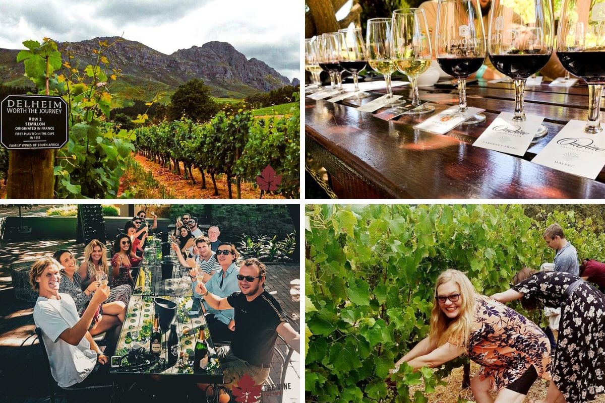 Blend and bottle your own wine Stellenbosch experience