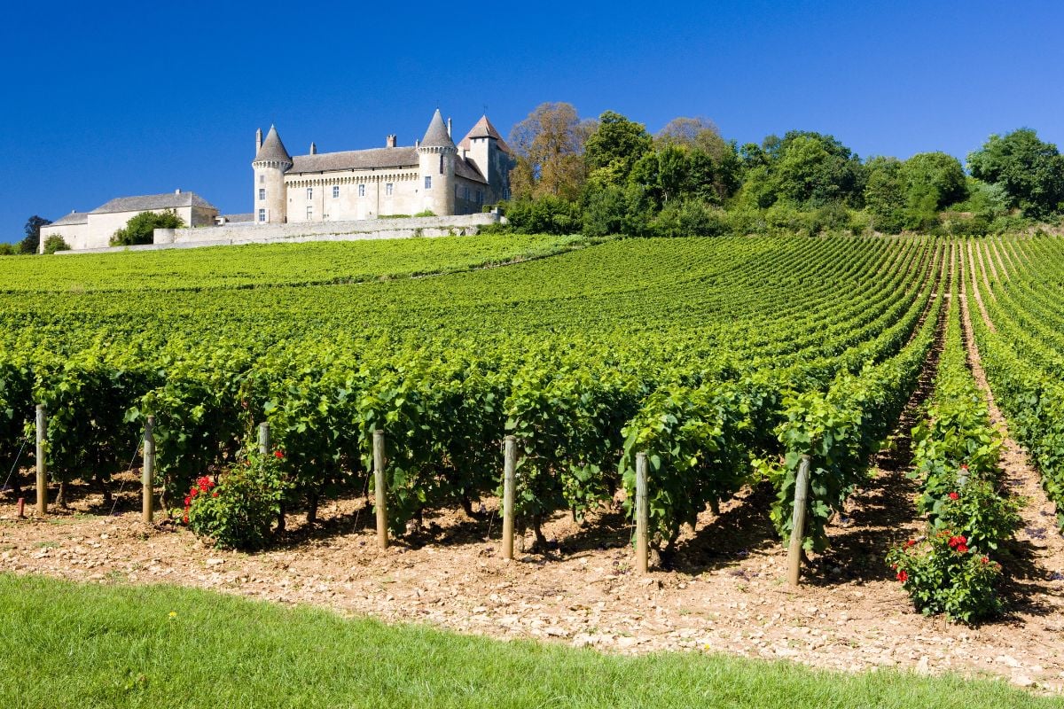 Chateau de Rully with vineyards in Burgundy, France