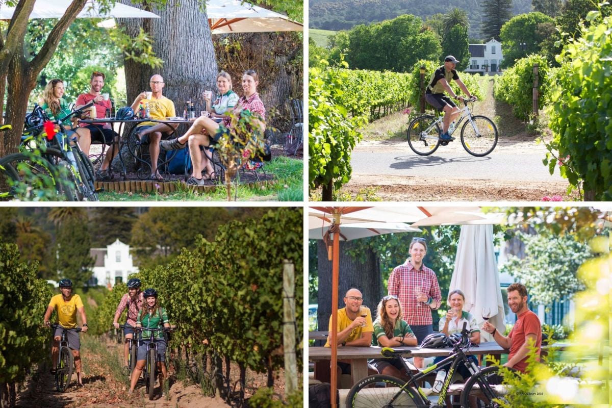 Constantia Wine Valley Bicycle Tour