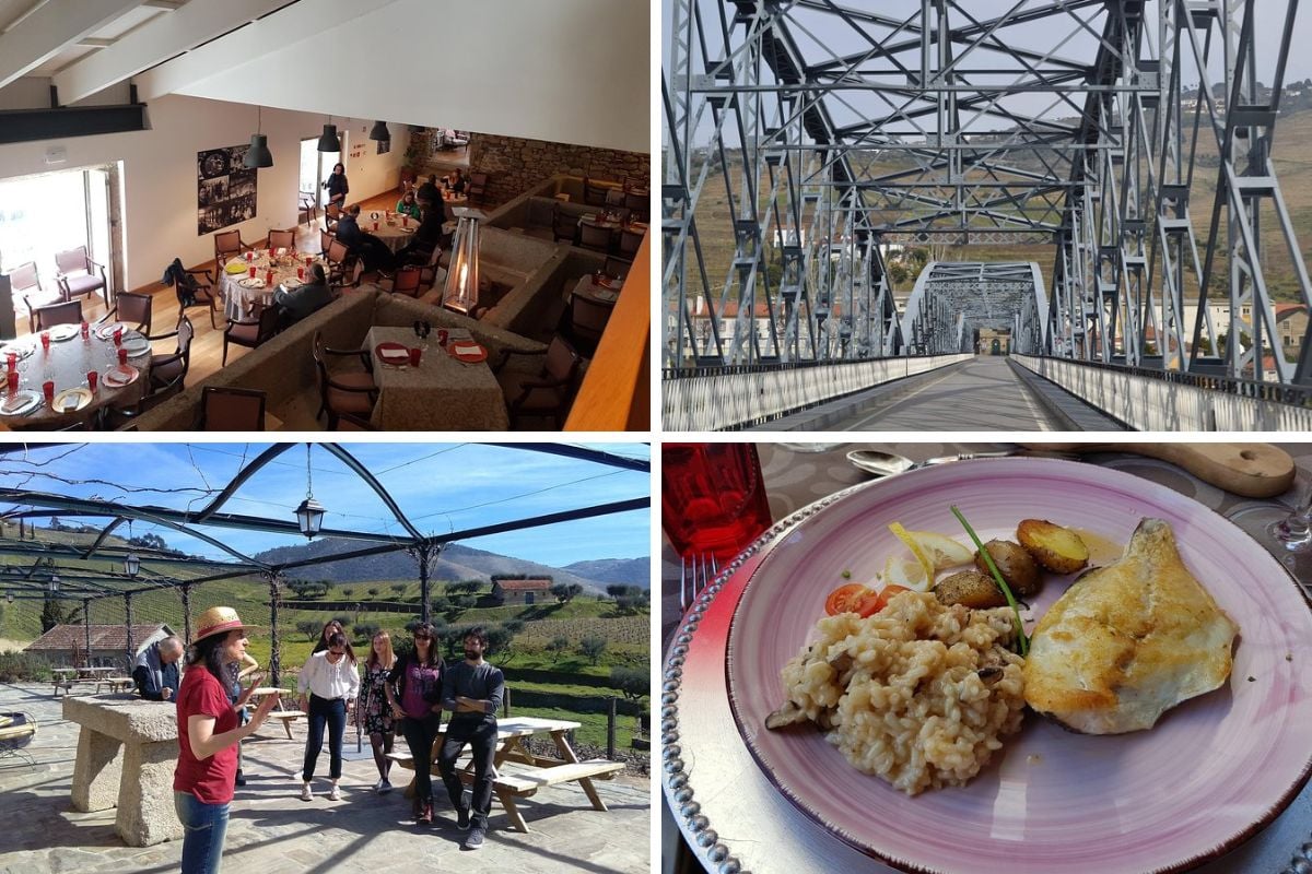 Douro Valley Wine Tour from Porto with Lunch and Tastings at Three Vineyards