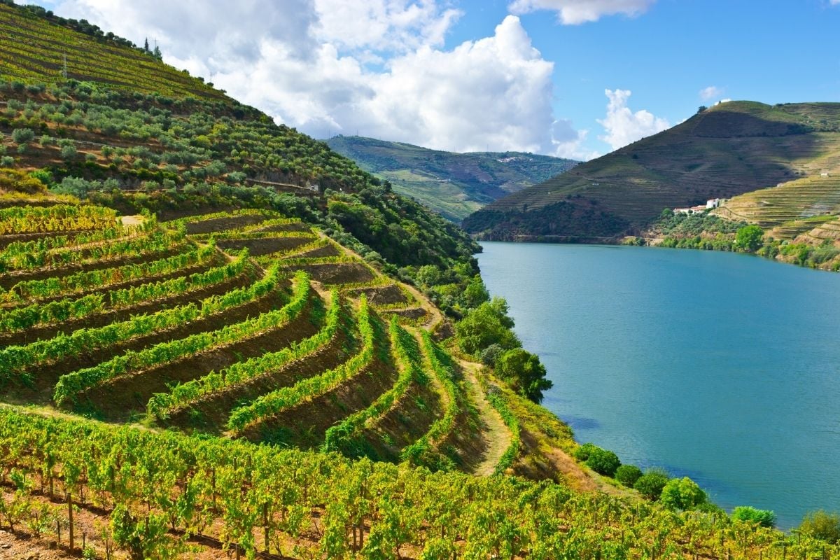 Douro Valley wine region, Portugal