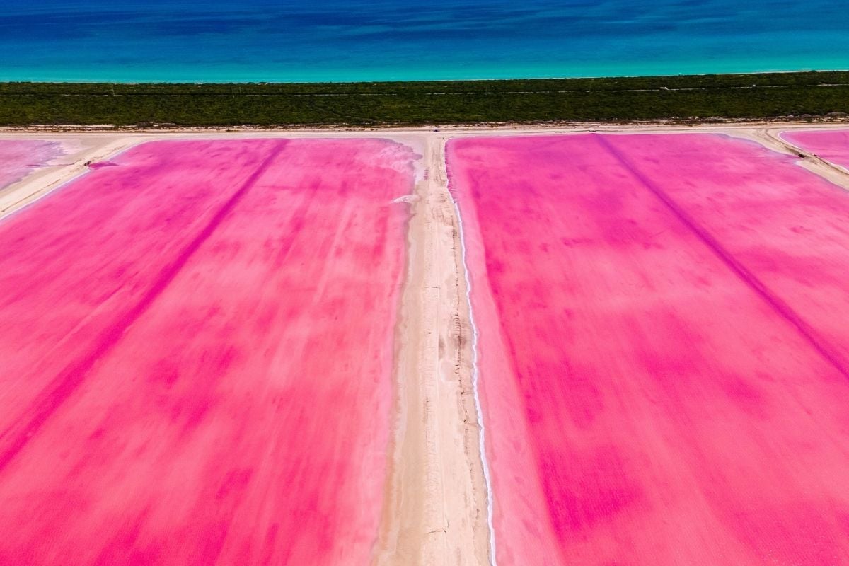 Las Coloradas, Yucatan Peninsula, Mexico