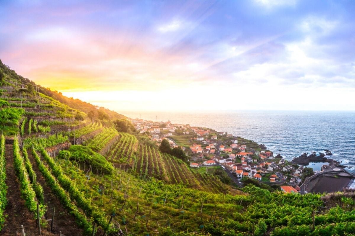 Madeira wine region, Portugal