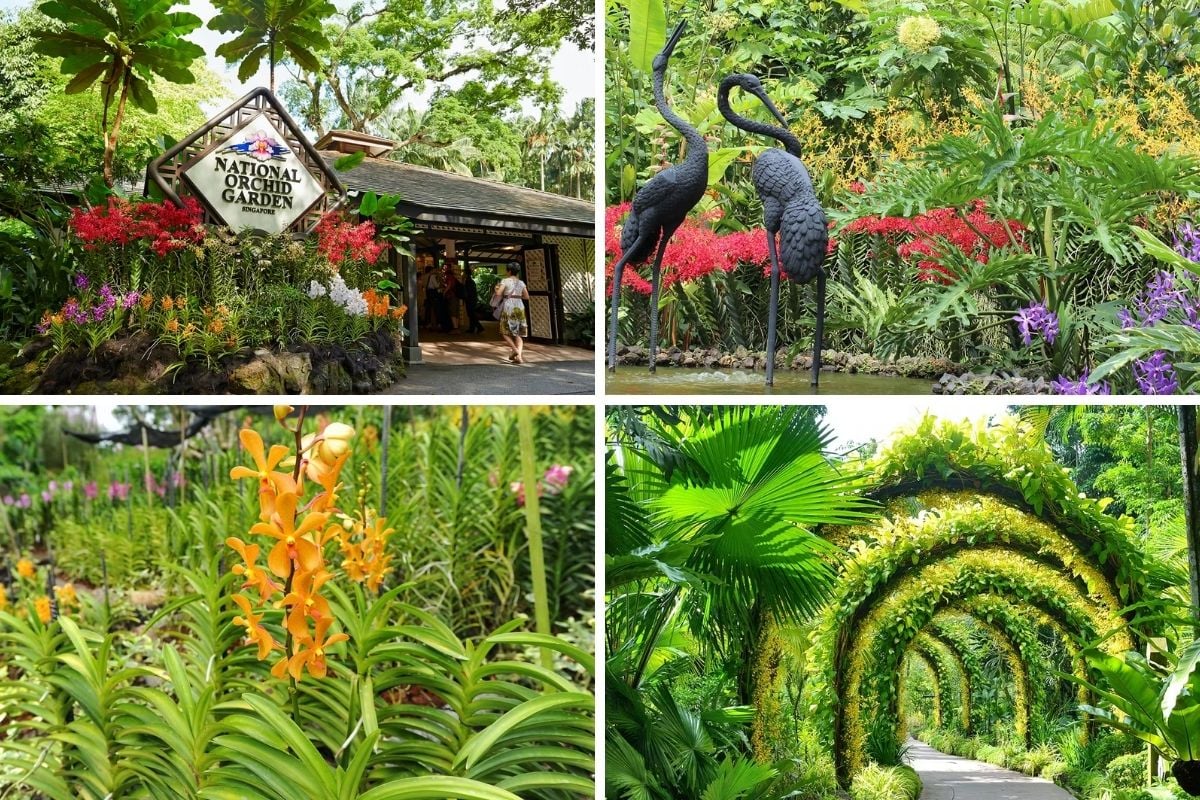 Orchid Garden, Singapore