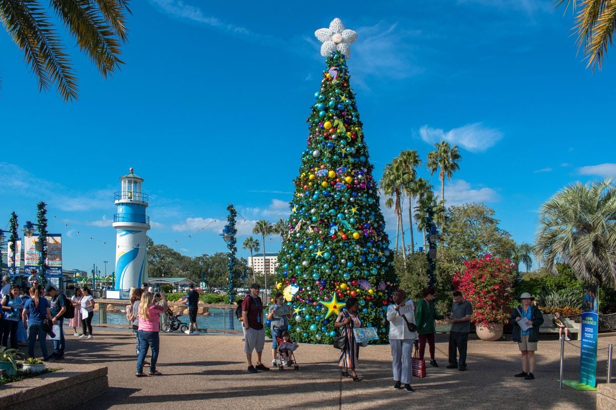 Christmas Tree at Seaworld Orlando