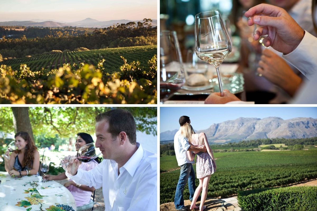 Private Full-Day Stellenbosch Wine Tour