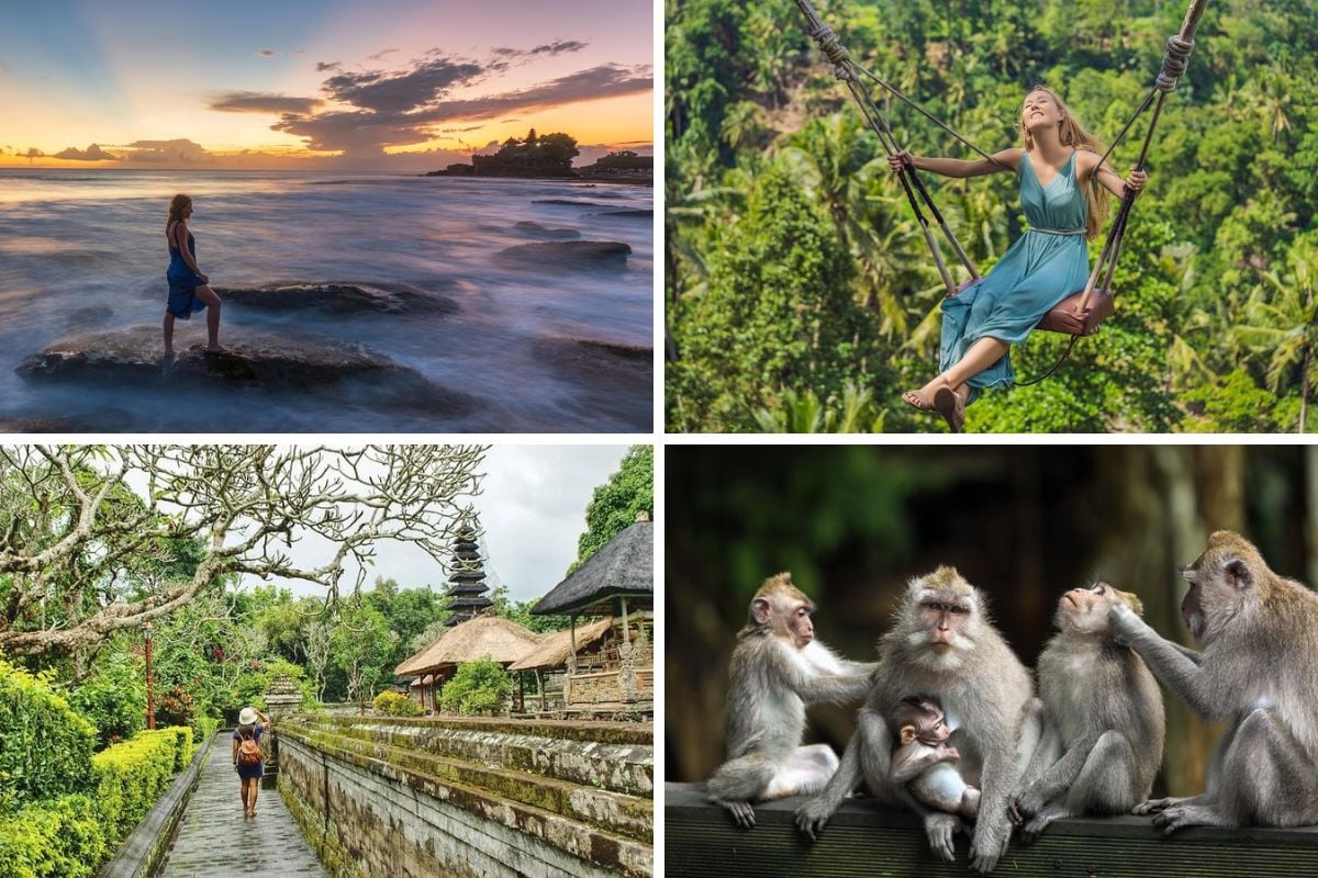 Private Tour_ Ubud and Tanah Lot Day Tour