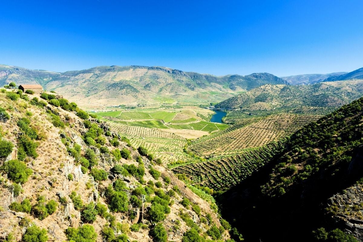 Tras-Os-Montes wine region, Portugal