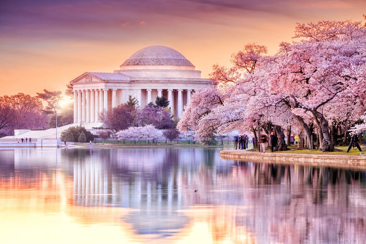 Jefferson Memorial during the Cherry Blossom Festival. Washington, DC