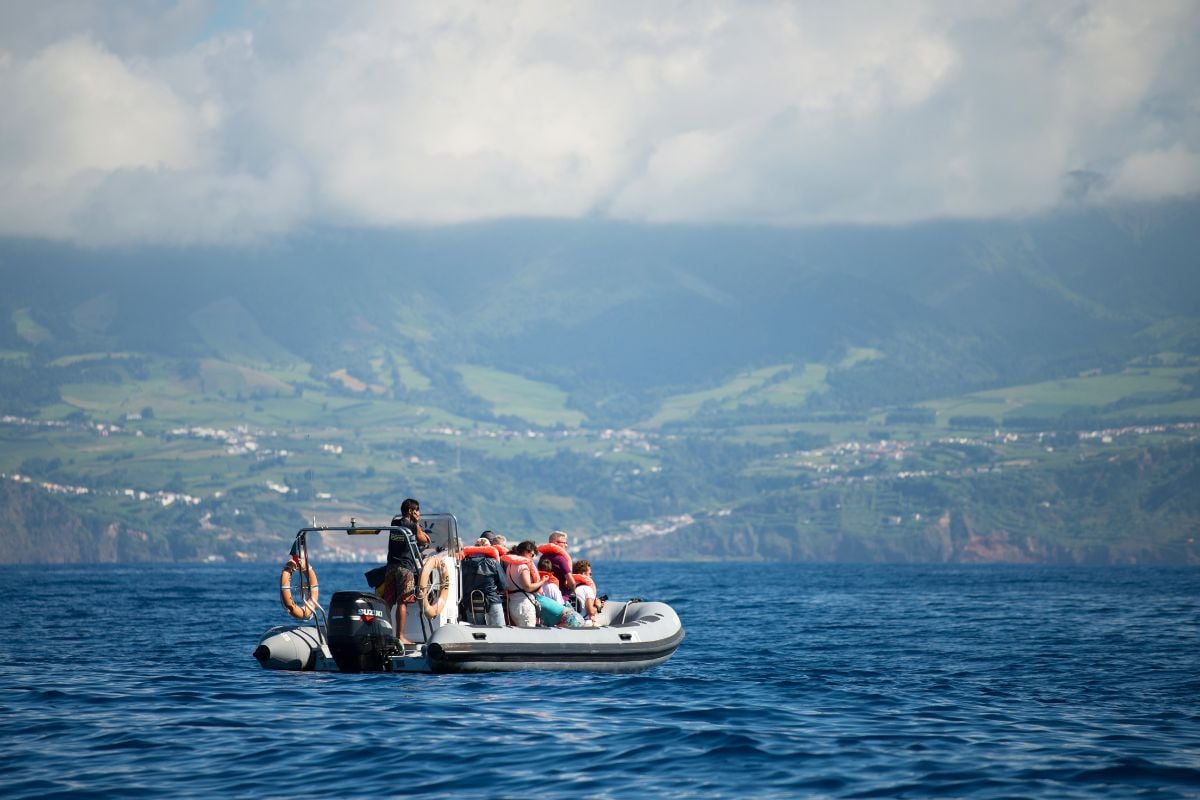 Whale watching in Azores, Portugal