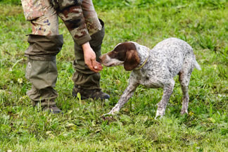 best truffle hunting tours in Florence