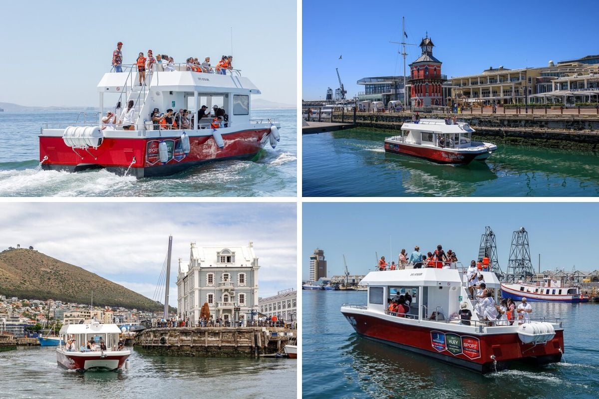 30-Minute Cape Town harbor boat cruise
