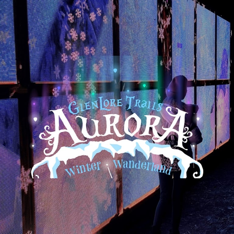 Aurora Winter Wanderland An Immersive Night Walk - Detroit