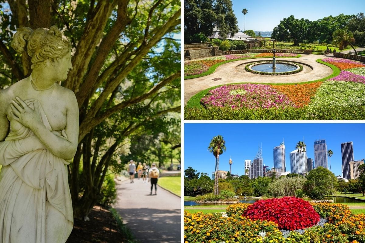 Botanic Gardens of Sydney