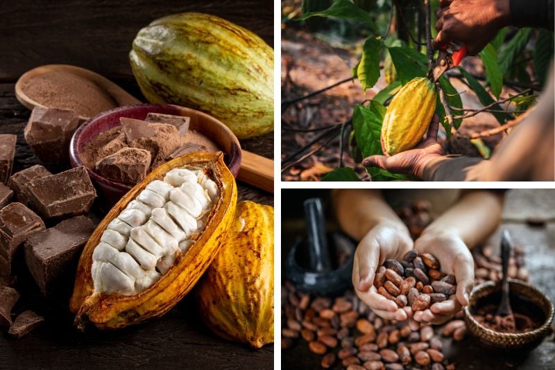 Chocolate Heritage Month festival in Saint Lucia