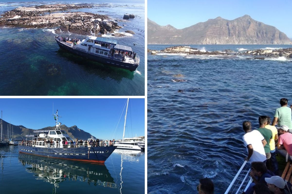 Circe Launches glass-bottom boat seal watching tour