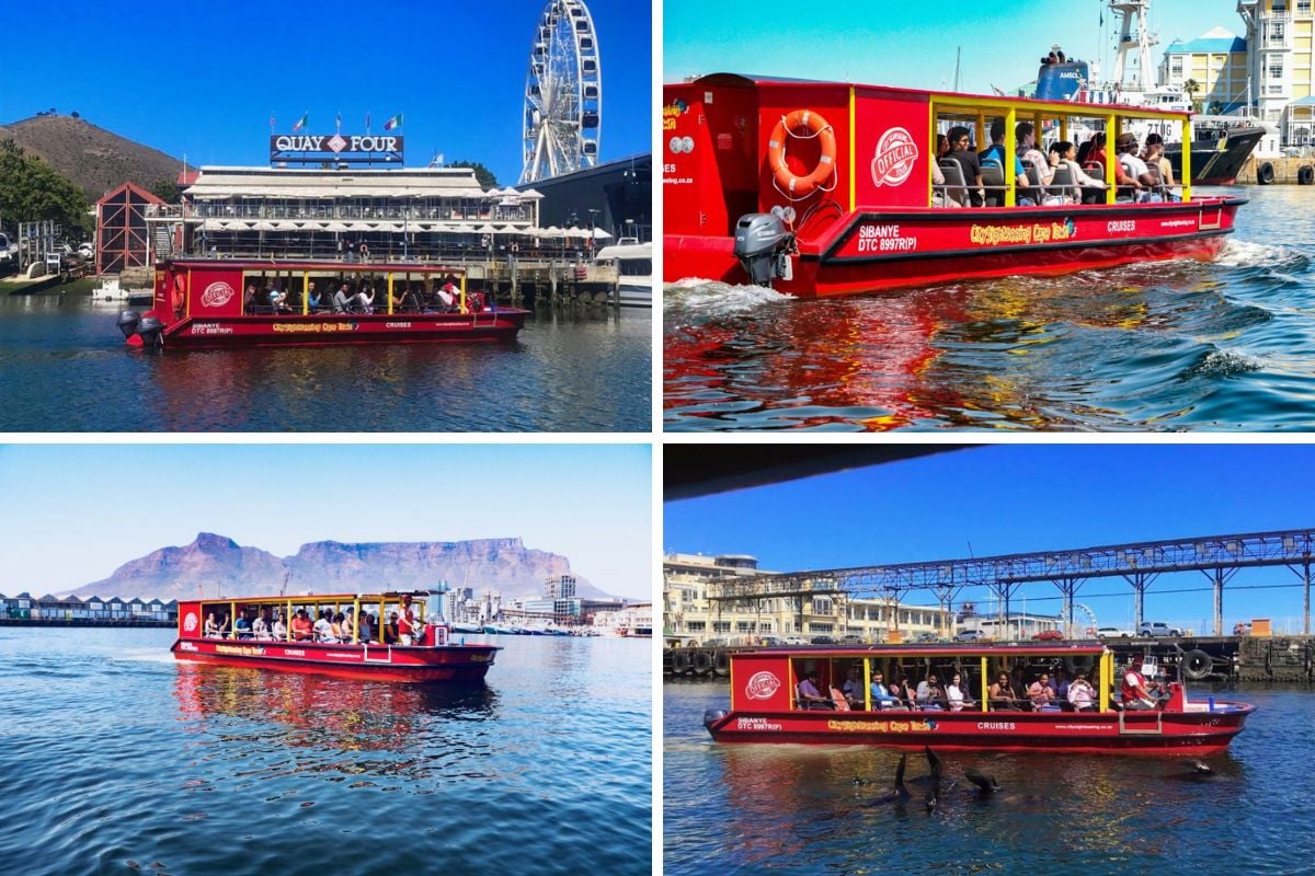 City Sightseeing V&A Waterfront seal and harbor cruise