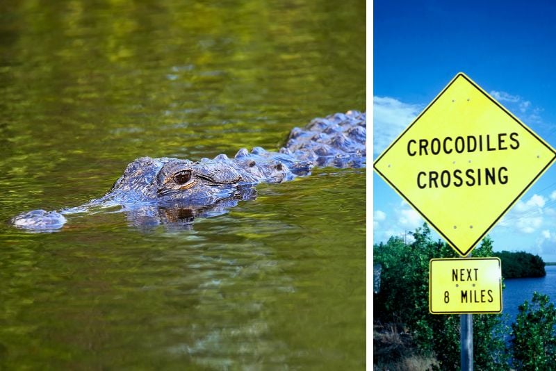 Crocodile Lake National Wildlife Refuge in Florida Keys