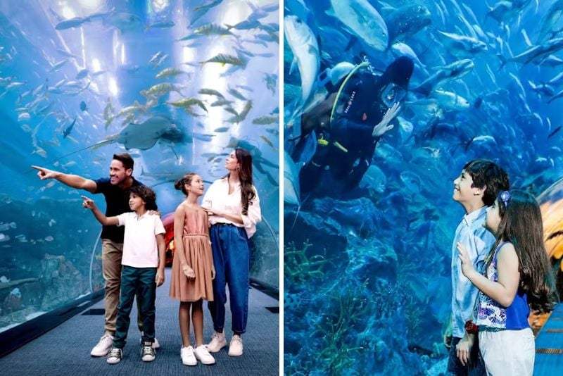 Dubai Aquarium & Underwater Zoo, UAE