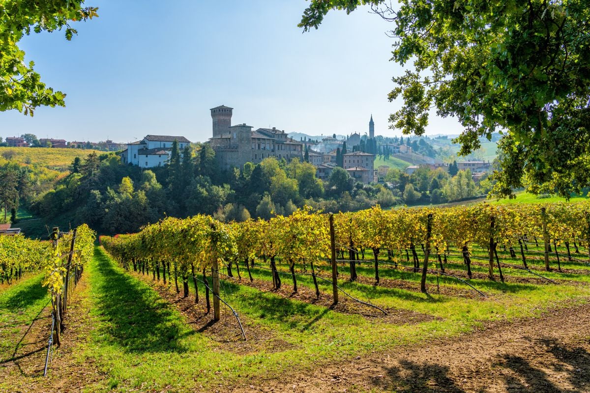 Emilia-Romagnia wine region, Italy