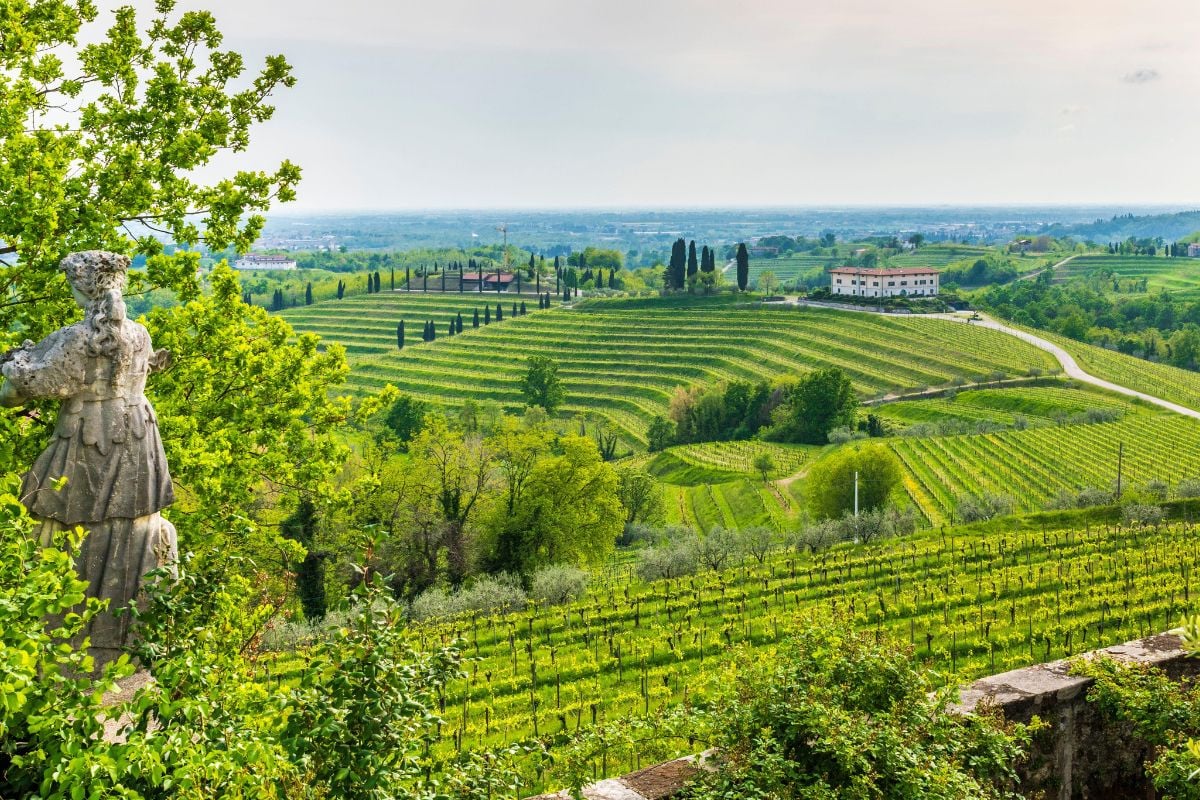 Friuli-Venezia Giulia wine region, Italy