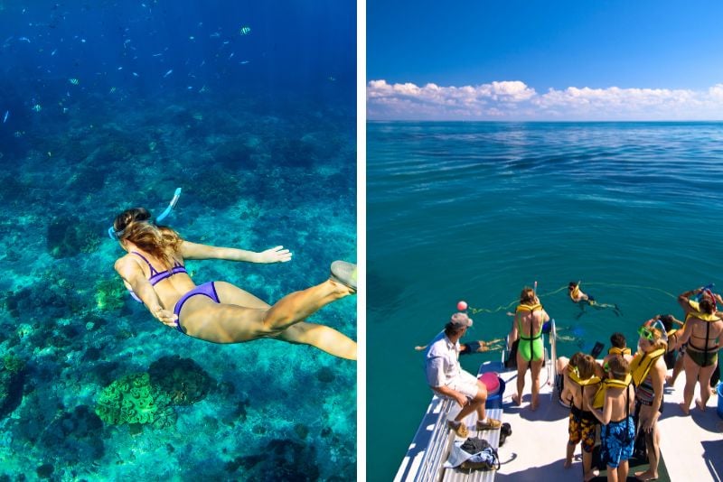 John Pennekamp Coral Reef State Park in Florida Keys