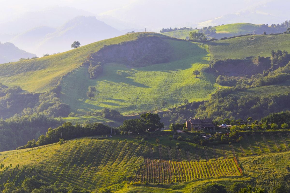 Le Marche wine region, Italy