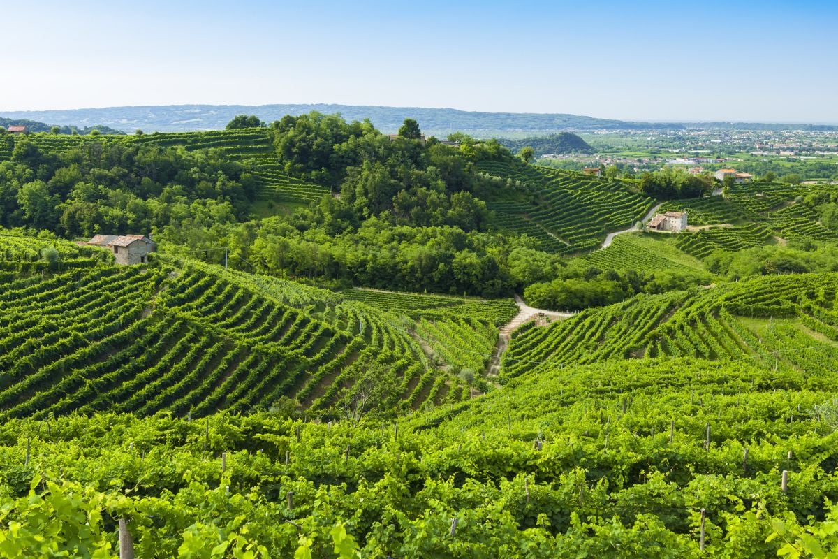 Lombardy wine region, Italy