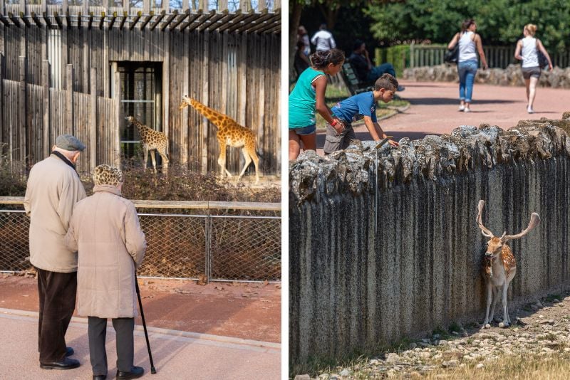 Lyon Zoo, France