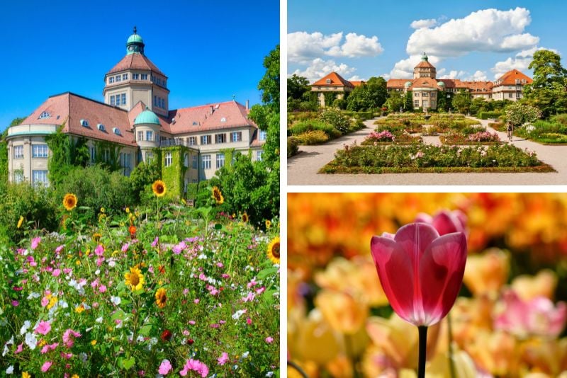 München-Nymphenburg Botanical Garden, Germany