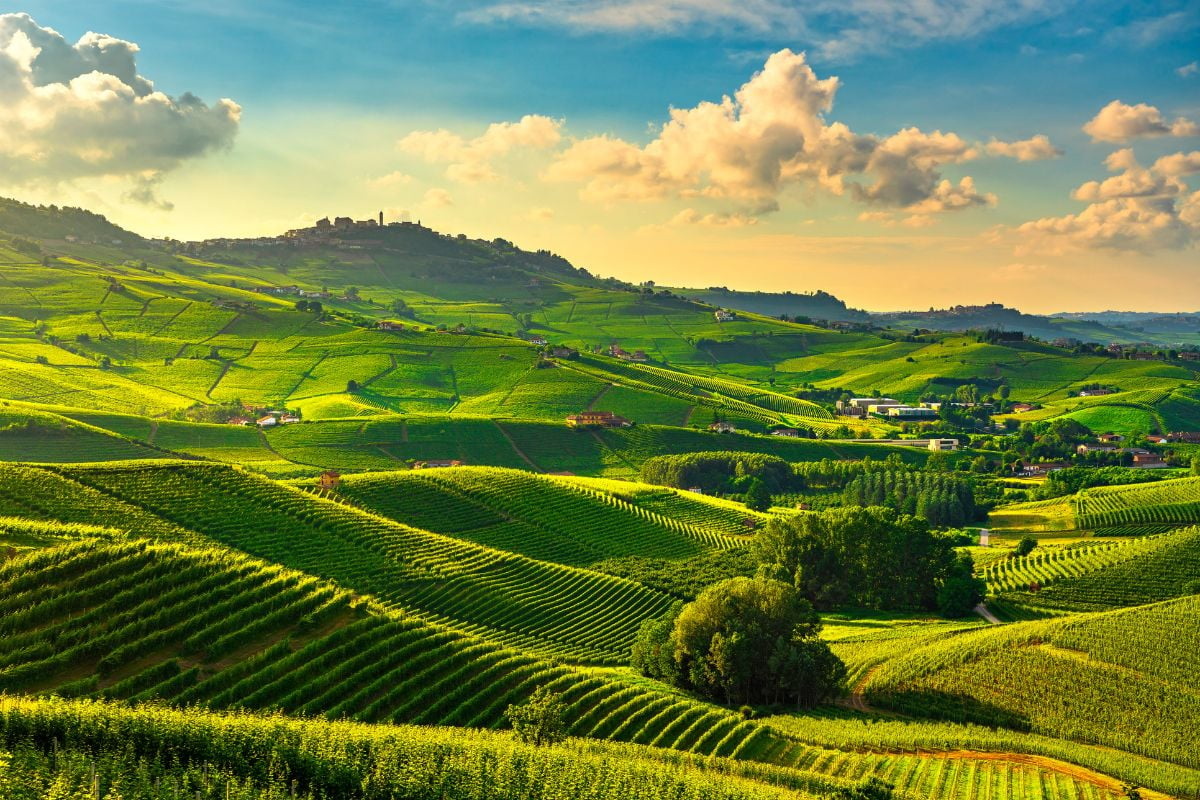 Piedmont wine region, Italy