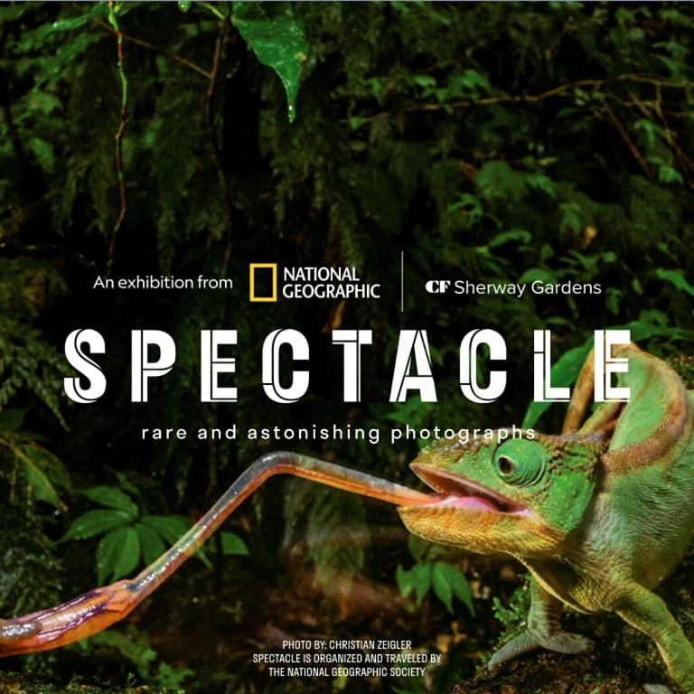 SPECTACLE Rare and Astonishing Photographs - National Geographic - Toronto