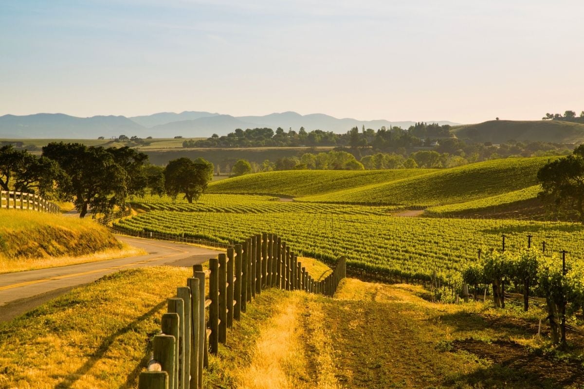 Santa Ynez Valley wine region, California