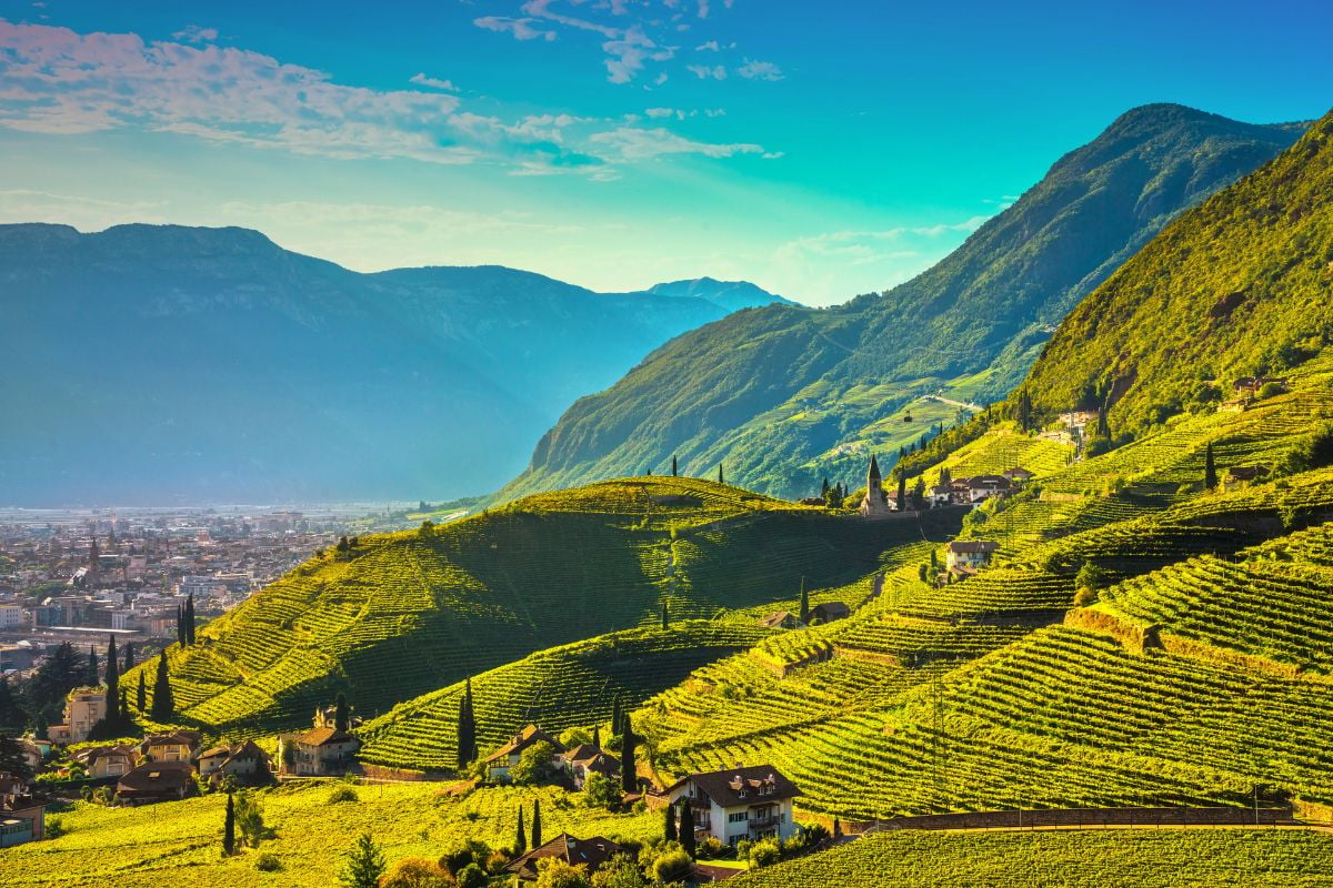 Trentino-Alto Adige wine region, Italy