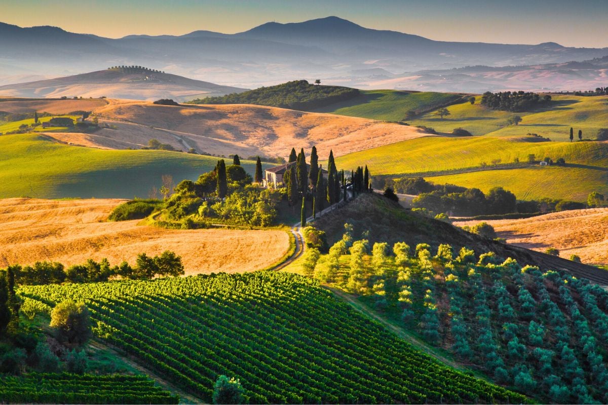 Tuscany wine region, Italy