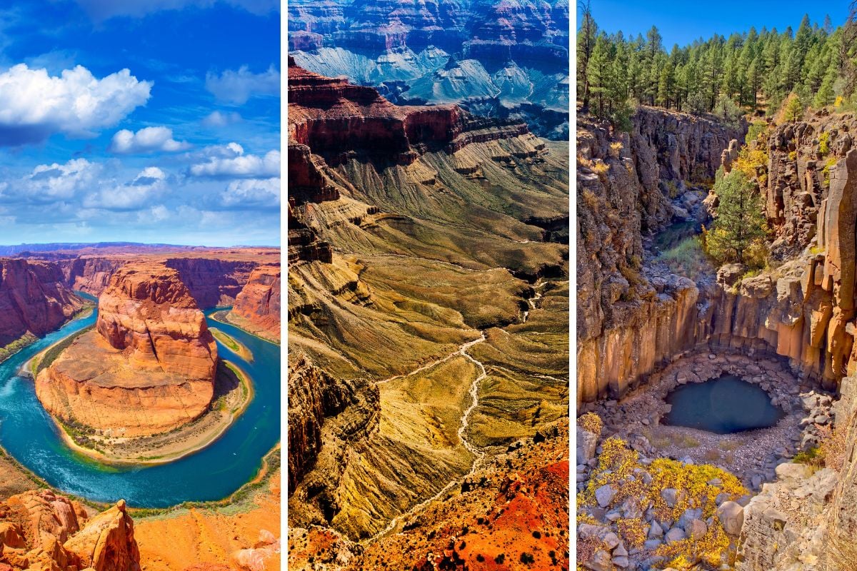 Types of South Rim tours, What you see, Grand Canyon