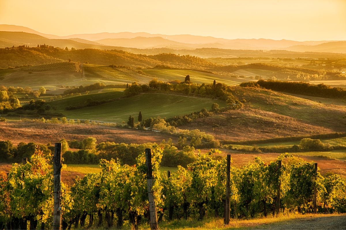 Umbria wine region, Italy