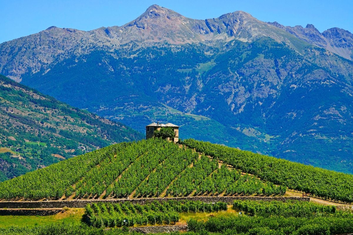 Valle d'Aosta wine region, Italy