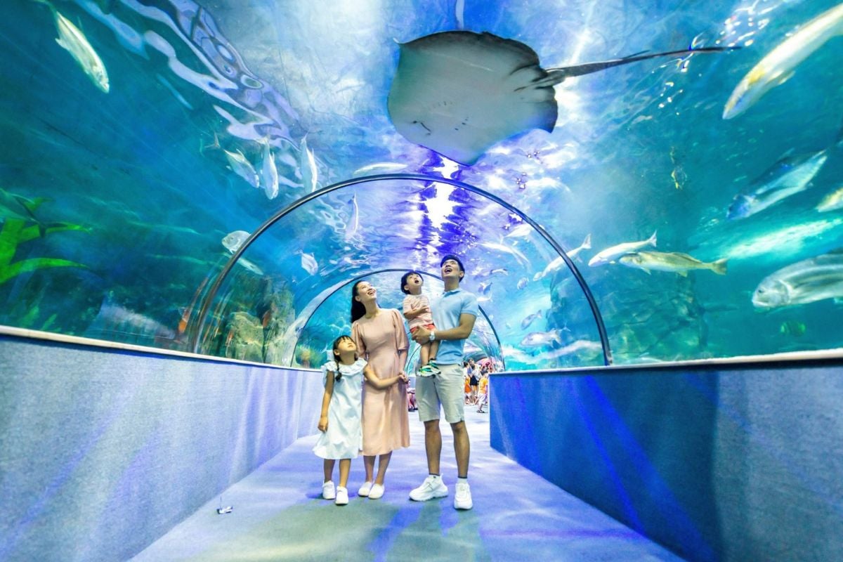 VinKE & Vinpearl Aquarium Times City in Hanoi