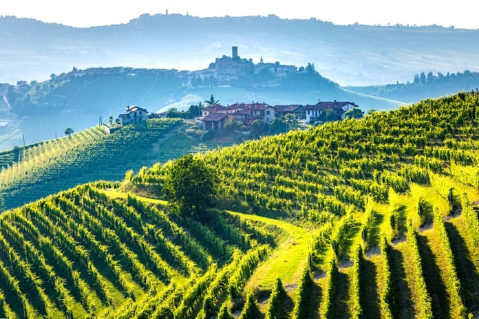 Wijnproeverijen en wijntours in Toscane