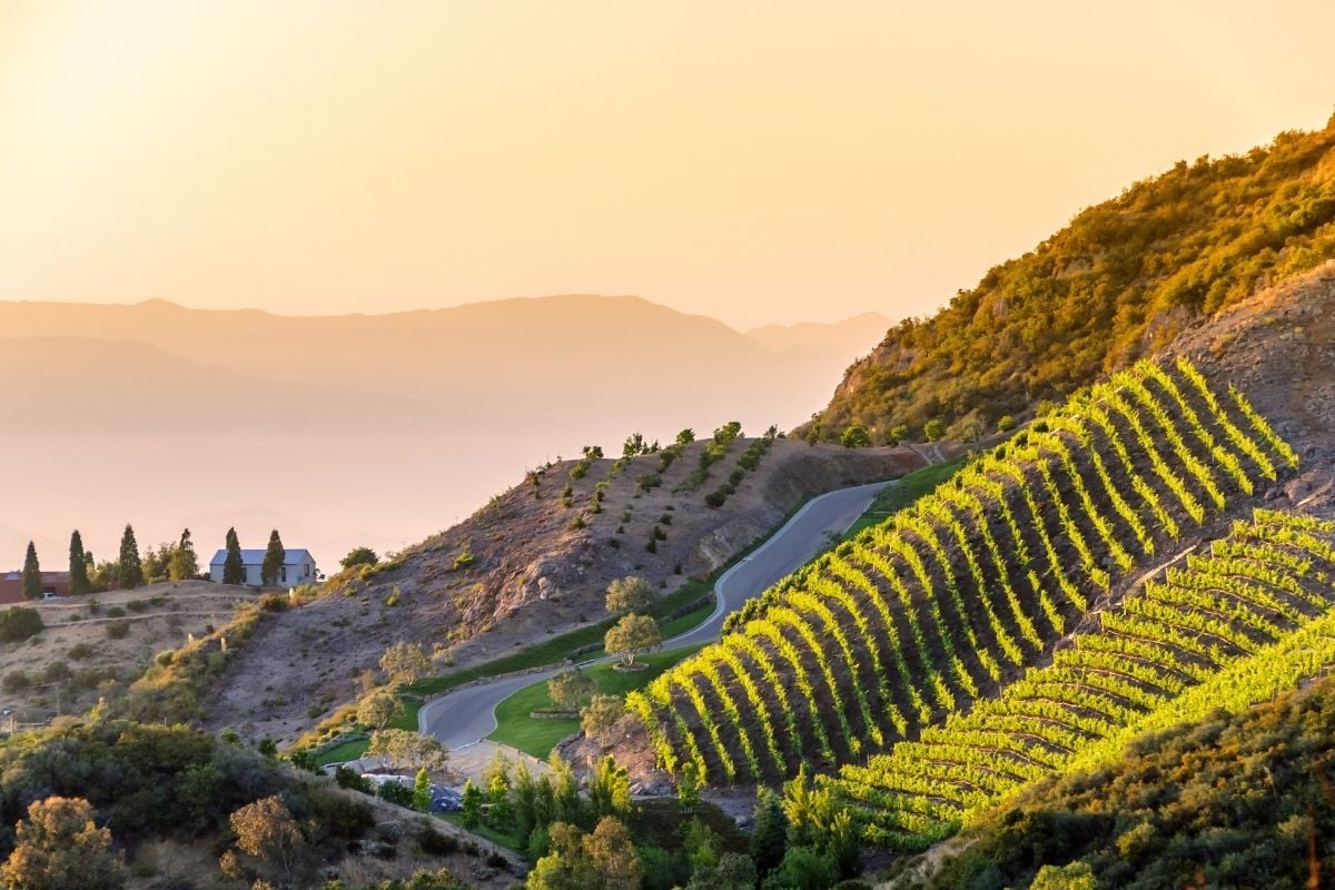 best wine regions in California