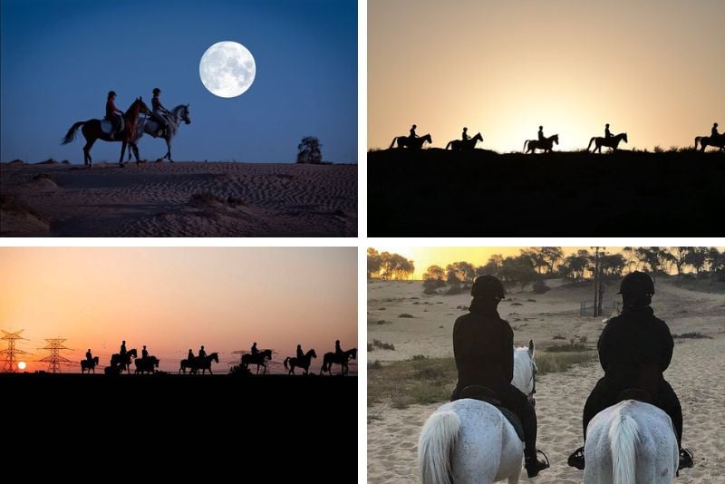 full moon horse riding in Dubai
