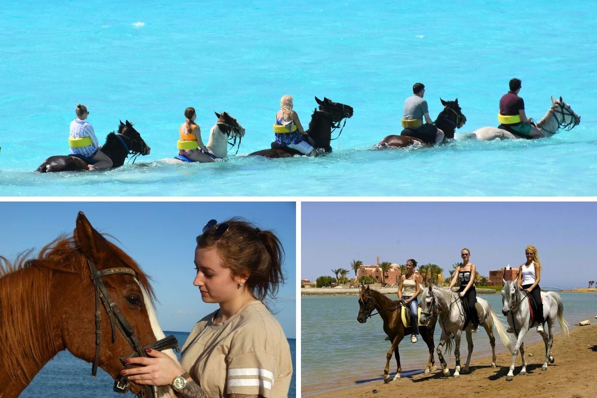 horse riding, Hurghada