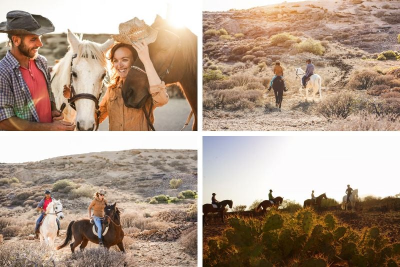 horse riding, Tenerife