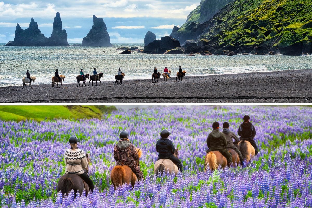 horse riding in Iceland during Summer